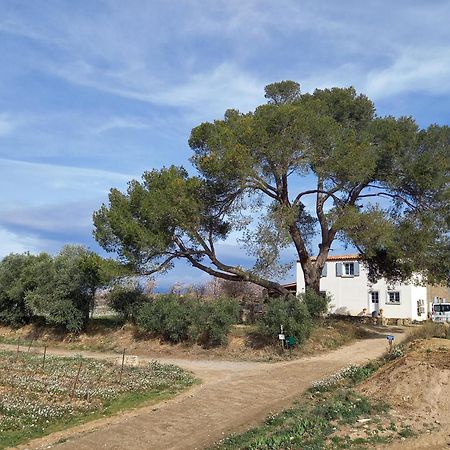 Вилла Domaine Saint Augustin Rieux-Minervois Экстерьер фото