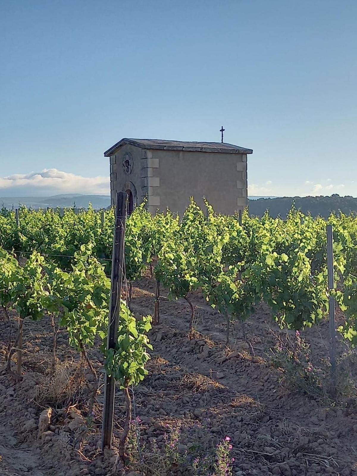 Вилла Domaine Saint Augustin Rieux-Minervois Экстерьер фото