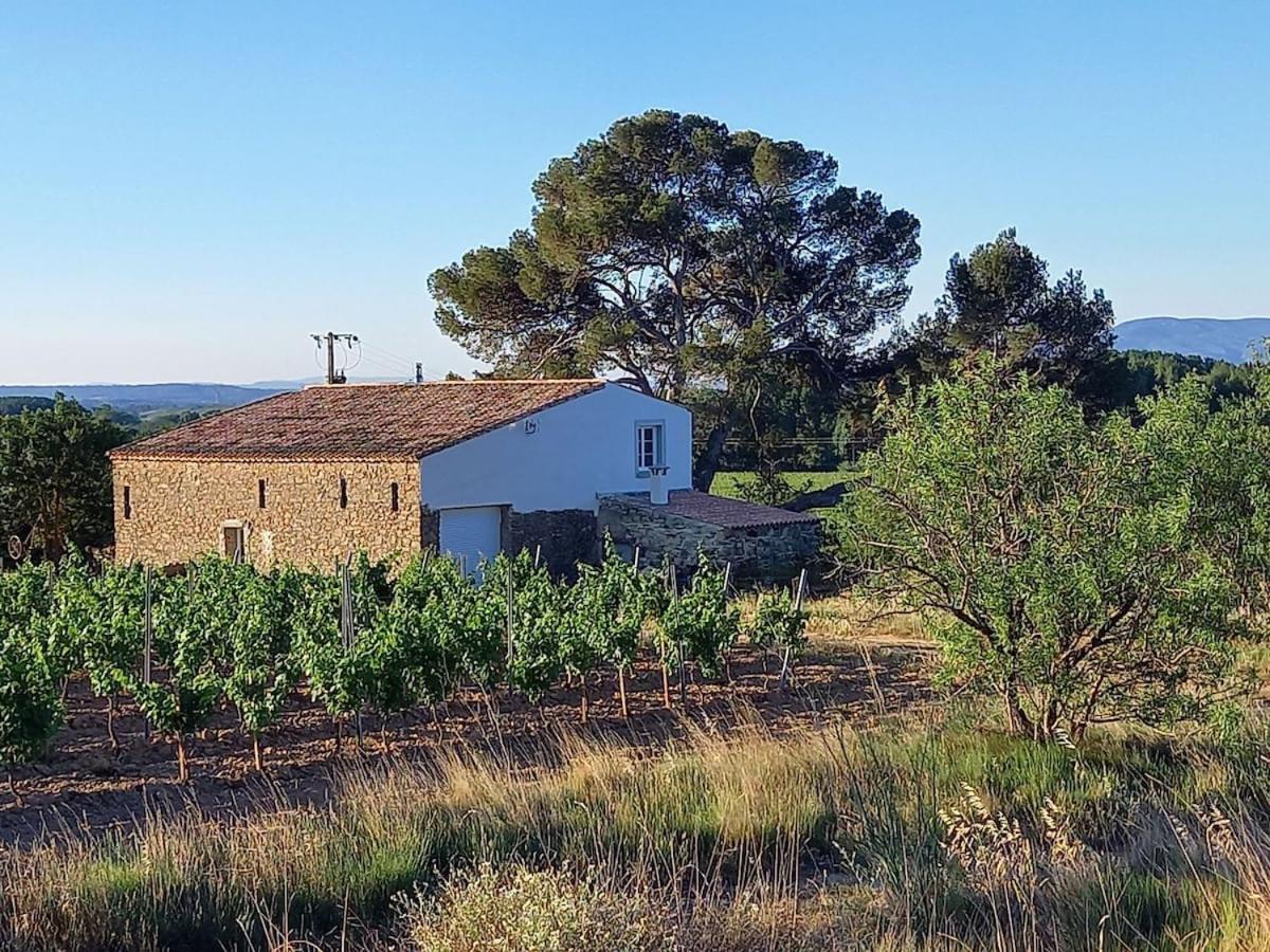 Вилла Domaine Saint Augustin Rieux-Minervois Экстерьер фото